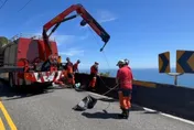 影/蘇花公路機車自撞護欄亡　遺體墜崖卡草叢消防吊掛運送