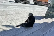 為什麼是我活下來？　花蓮災民恐面臨4大身心考驗
