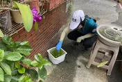 疫情一路向北！北市爆首例本土登革熱　8旬翁感染源不明