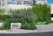 南新莊指標案 丹鳳站32層「馥華之道–鳳庭」風靡雙北