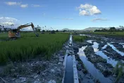 堰塞湖潰堤重創！花蓮500公頃農田遭埋沒　農損達4.3億
