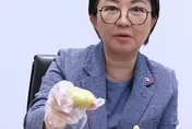 慶中秋手做月餅「初體驗」！盧秀燕喊：餡看起來比皮大