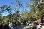 衝武嶺賞日出！南投台14甲汽車自撞「四輪朝天」　4人受傷送醫
