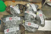 食藥署重罰屏東百威食品5400萬元　售黑心豬腸「破壞社會安定」