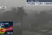 颱風哈隆強襲日本八丈島　強風暴雨造成樹倒路斷、多處停電