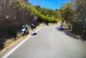 苗栗野貓突襲！騎士閃避不及陷水溝　暖警相救還載去修車