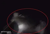 影/「走鹿」要看路！男騎車走台18線忽撞1米巨物　當事者竟不到案