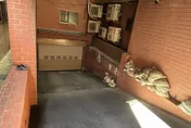 命懸一線！新北永和妙齡女「跌落車道口慘被輾」送醫搶救