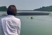 陳菁徽光電板再究責　高市府：唯一行政程序韓國瑜任內