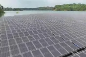 立院通過光電三法　業者憂變「慘業」掀倒閉潮：至少倒一半
