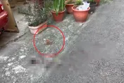 影/台中恐怖情人砍殺女友母女　3人受傷送醫