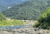 錢都是你賺！屏東西瓜田雞糞肥料惹蒼蠅　居民怒：別再種