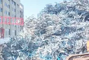 上海竊盜集團偷上萬輛共享單車轉賣　涉案金額高達4300萬