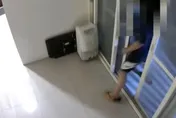 女大生租屋遇內衣大盜！　警上門他秒掏3件內褲自首
