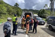 新北坪林7人被蜂螫傷　均意識清楚送醫