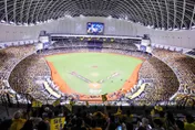 中職/對滿場4萬球迷致歉！平野惠一：G2會全力以赴反攻