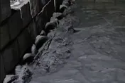 影/直擊花蓮馬太鞍溪新堰塞湖溢流「淹沒便道」　雜木堵涵管