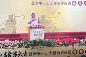 非洲豬瘟首例怎麼發生？養豬協會理事長潘連周推測「月餅」釀禍