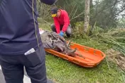 台南90歲阿嬤失蹤4天！遭兒棄屍山坡　警在塑膠袋內尋獲遺體