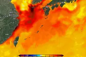 海溫降卻仍紅通通！東北季風定義面臨挑戰　鄭明典：全球暖化