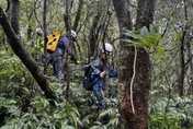 新北翁獨攀宜蘭叢雲山失聯7天　家屬懸賞50萬急尋