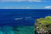 日本流感開始流行！沖繩成重災區　醫提醒「要打疫苗」