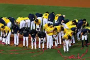 中職/中信兄弟連霸失利！　平野惠一：象迷是世界第一