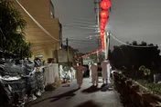 非洲豬瘟案場3處仍驗出陽性！專家建議未來不應再養豬