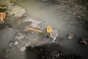 以為水溝漂人腿！警消獲報急打撈　一看竟是樹枝