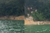 影/偽善？陸「好心人」水庫放生近千隻貓咪　竟邊播放大悲咒