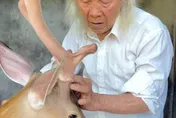 陸最孤獨動物園！8旬園長一人經營半甲子　網友「雲門票」支持