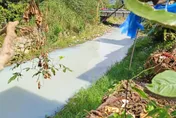 南投溪流一夜變「牛奶河」！白濁飄異味　環保局緊急追查
