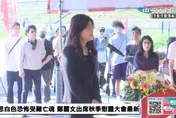 王崑義/砲轟鄭麗文　賴政府也在做「認知作戰」