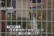 一開門就遇到熊！日秋田縣一天內傳多起熊襲事件　3人受傷送醫