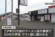 日拉麵店員遭熊襲「怒甩回去」成功趕跑熊　滿身血竟繼續工作