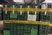 文雅畜牧場雞蛋驗出芬普尼　彰檢帶回負責人調查