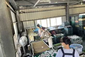 毒雞蛋追查汙染源   醫：疑飼主「芬普尼直接噴雞」