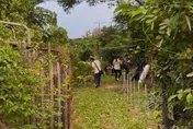 高雄驚見「軍火大場面」！餐飲科畢業生經營地下兵工廠
