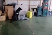 影/緝毒犬好棒棒！「關鍵動作」助台南少年隊警破毒窟
