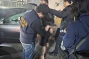 影/刑警狂敲車窗逮人！網拍詐騙7人落網　105人受害財損逾200萬