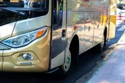 內湖花市2/13周邊交管　東環幹線公車2班次改道