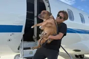 MLB/山本由伸公開愛犬名！網憶大谷婚訊瘋猜：好事近了