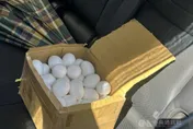 石崇良：擴大抽驗雞蛋　一般籠飼生產為首要對象