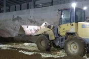 「25萬顆毒雞蛋銷毀」畫面曝光！  保七總隊全程押運