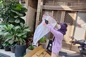 台南第17例登革熱境外移入！菲律賓男赴越南探親發病