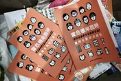 諷「安全指引」槓上林飛帆！謝寒冰：不是要萊爾校長親簽的垃圾