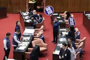 藍白推公投恐難抬選情！沈政男點破現實：專心選舉才是正途
