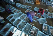 福島核食解禁引質疑　卓榮泰背書：20餘萬件檢驗均合格！