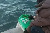 多袋米倒入海！陸老人「放生大米」邊唸唸有詞　網批：浪費糧食
