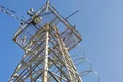 影/苗栗12米高「電信鐵塔」5千元競標！　警：可以拿來當聖誕樹